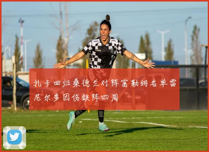 扎卡回归桑德兰对阵富勒姆名单雷尼尔多因伤缺阵四周